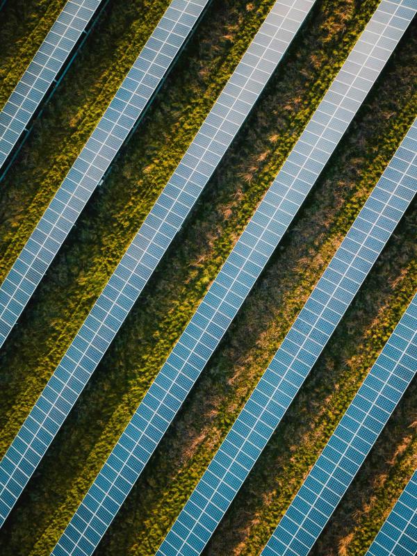 Diagonal solar panels in rows