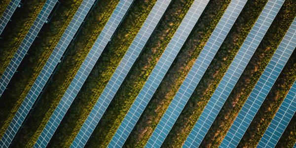 Diagonal solar panels in rows