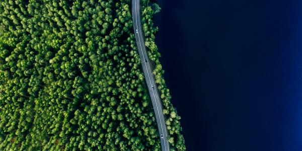 Road next to green forest and dark blue ocean