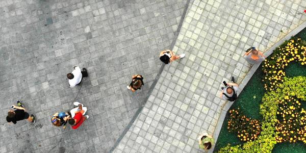 Birds eye view of people near garden