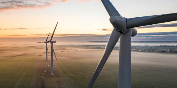 windmills in the morning