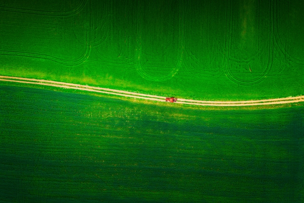 The car in the middle of the green field