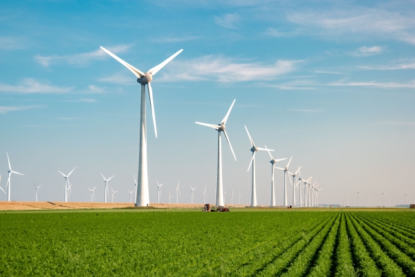 Windmills in the field