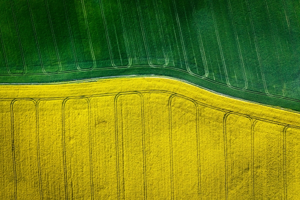 A half yellow and a half green field