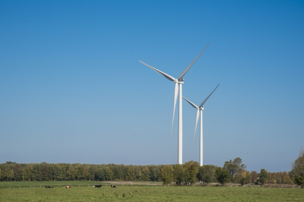 Two wind turbines in a field