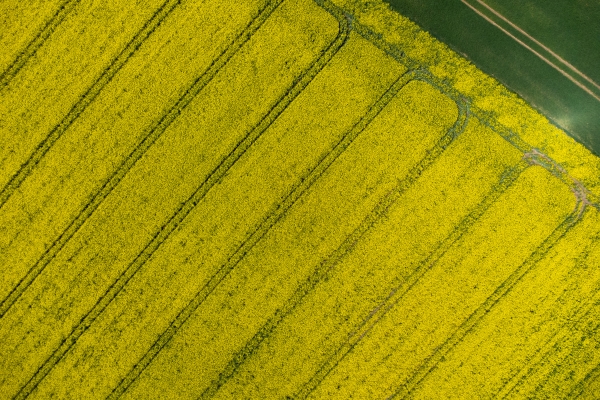 Image of a field
