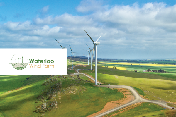 photo of wind turbine farm
