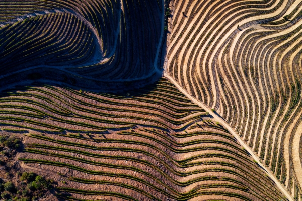 Rows of sand in desert