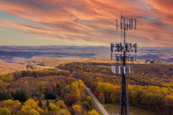 Communications tower with trees