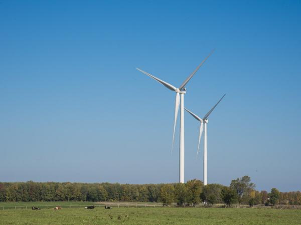 Two wind turbines in a field