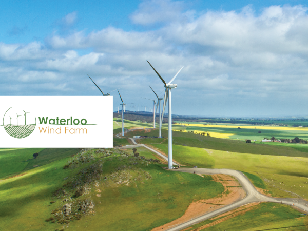 photo of wind turbine farm