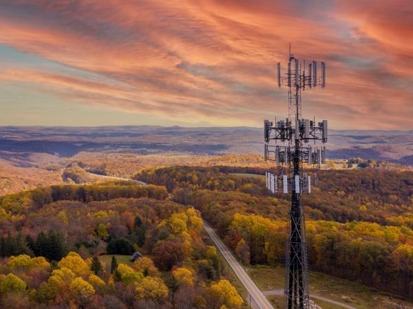Communications tower with trees