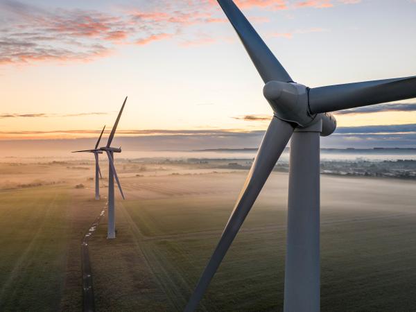 windmills in the morning