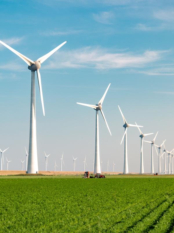 Windmills in the field