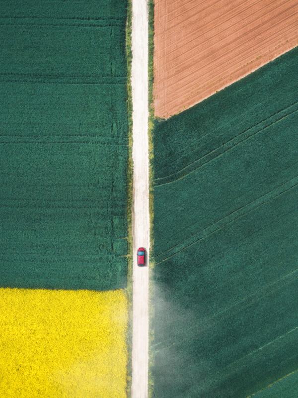 Road in the middle of the field