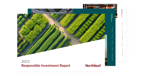 Image of RI Report Cover