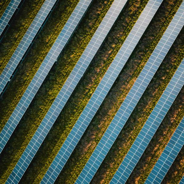 Diagonal solar panels in rows