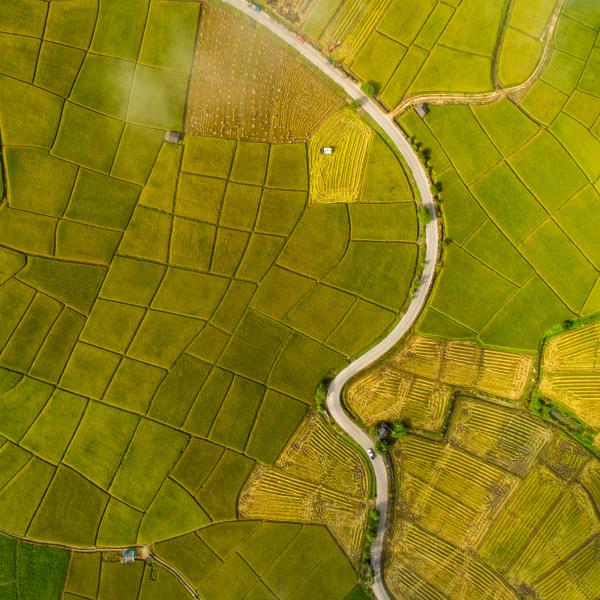 Road passing through green yellow prairies
