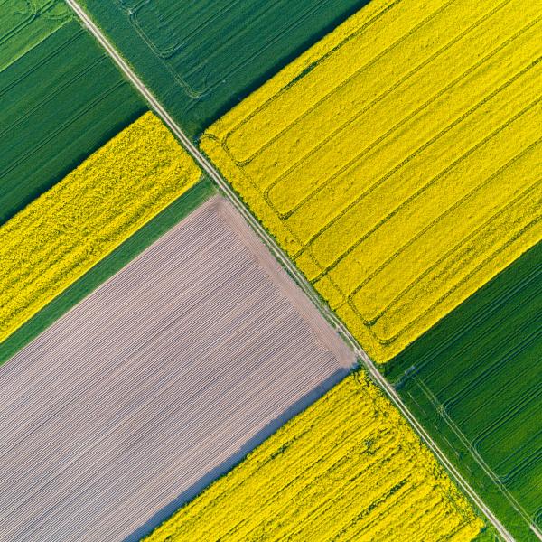 Yellow and green farm land grass patches
