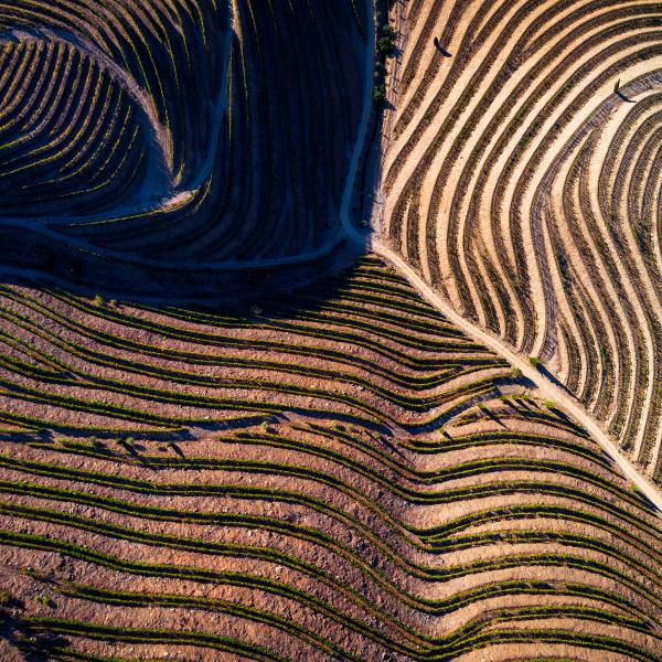 Rows of sand in desert