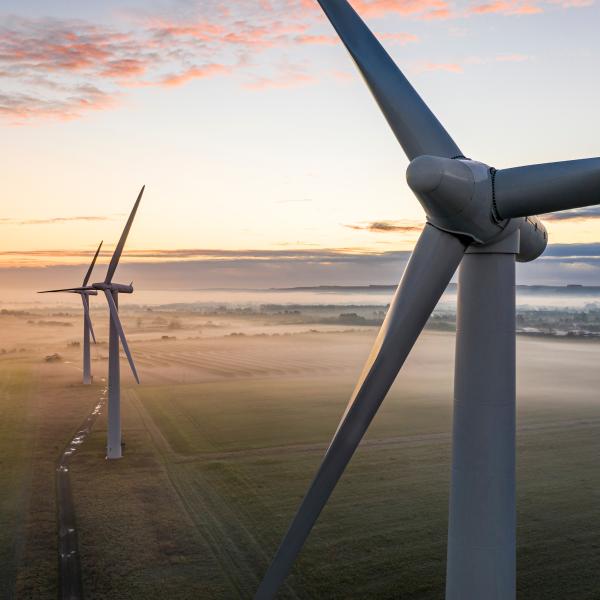 windmills in the morning